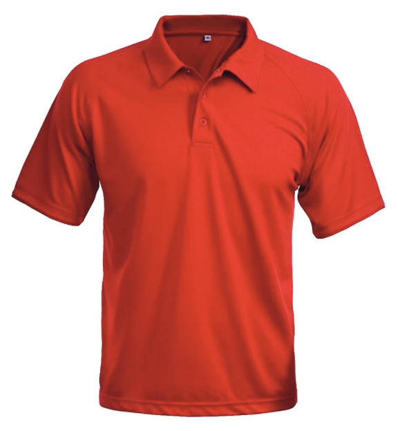 CAMISETA POLO
