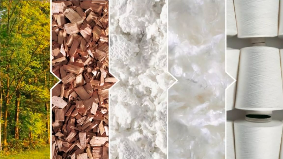 Sustentabilidade e Desenvolvimento Responsável - Política Ambiental da Bragard